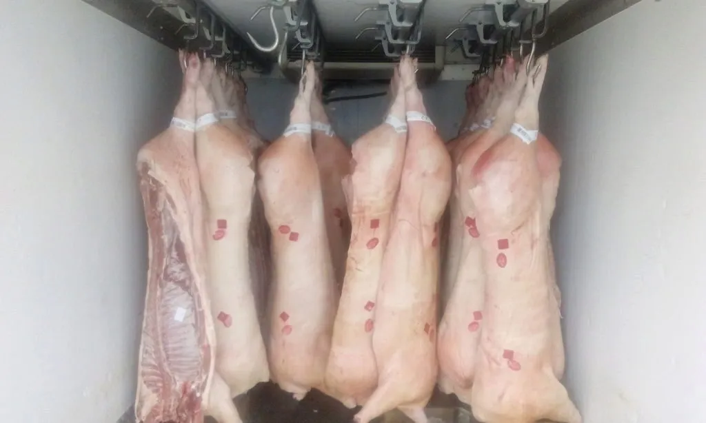 фотография продукта Свинина охлаждённая в п/т - 165. 0 руб.